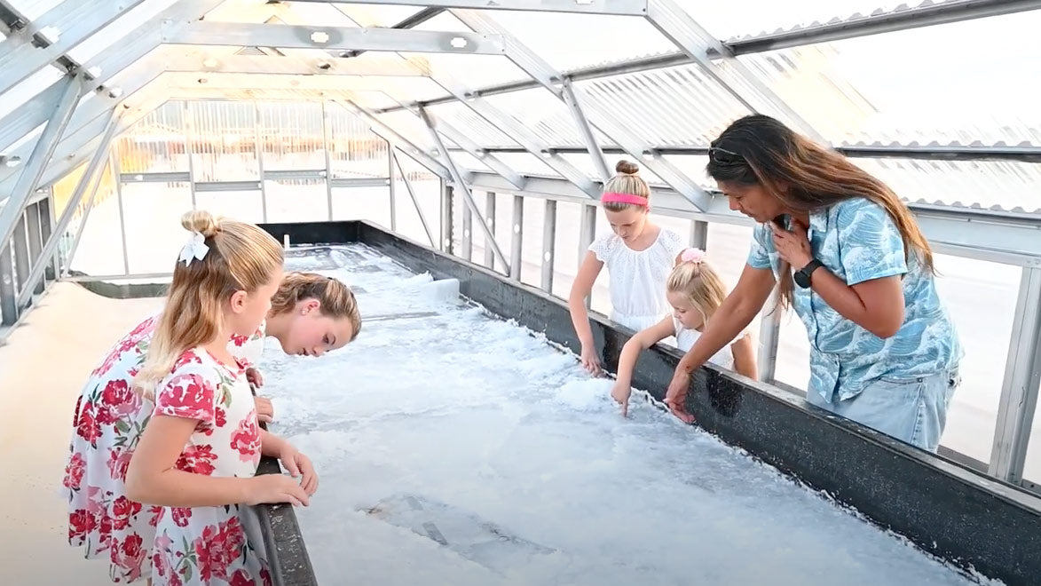 Adventure Family Journal Visits our Kona Salt Farm - Sea Salts of Hawaii