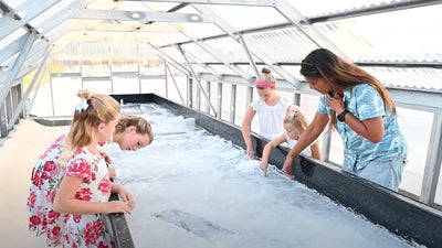 Adventure Family Journal Visits our Kona Salt Farm