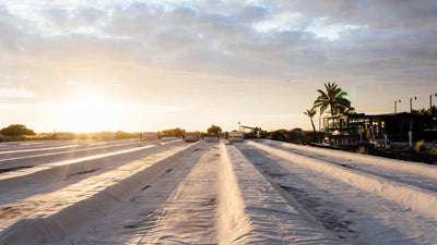 Conde Nast Traveler: On Hawaii, Salt Comes from Ancient Water and Modern Science