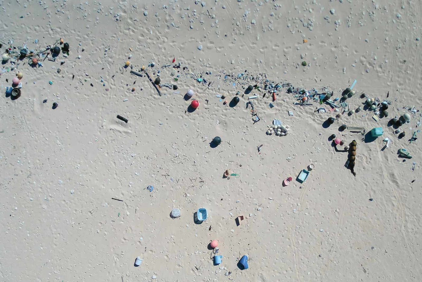Sea salt and microplastics